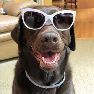 Meet your Posher, Brianna